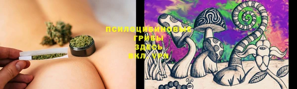 MESCALINE Белокуриха