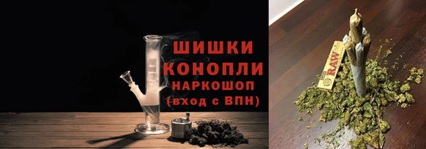 шишки Беломорск