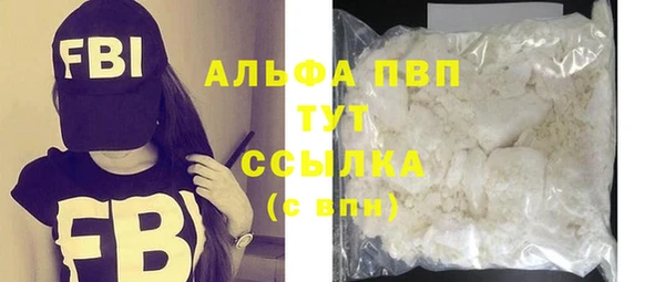 шишки Беломорск