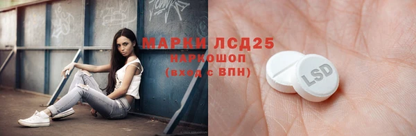 шишки Беломорск