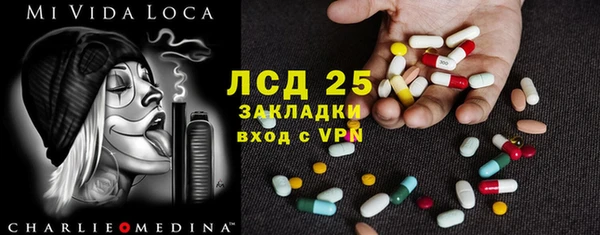 шишки Беломорск