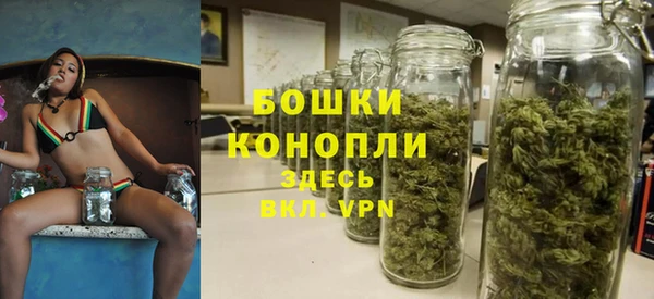 шишки Беломорск