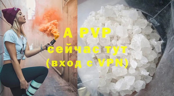 шишки Беломорск