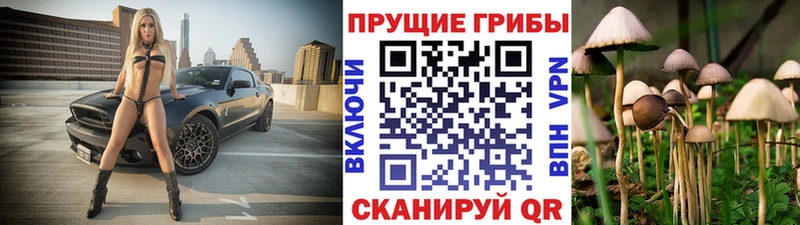 Псилоцибиновые грибы Cubensis  Володарск 